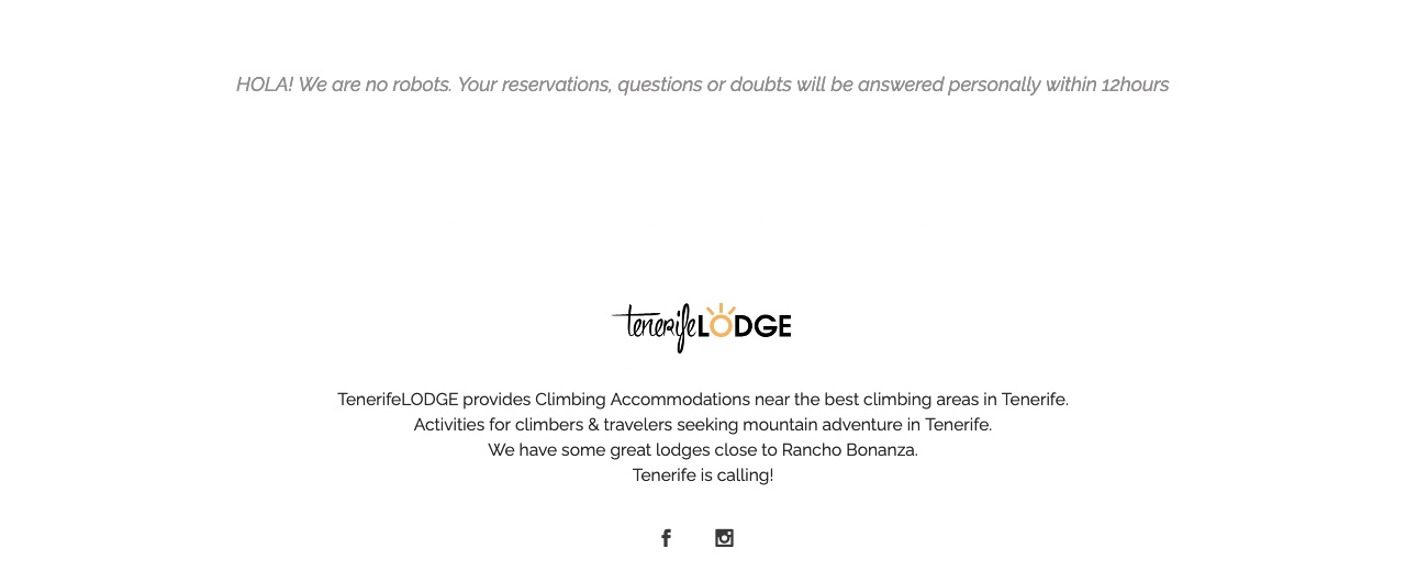 Página web - Wordpress - Diseño logo - TenerifeLodge 2b - Tenerife